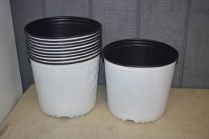 lot 277 image: 10 Nursery Pots 9.5 tall and 11 Diameter