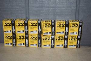 lot 300 image: 12 Boxes of 100 Ramset .22 Cal