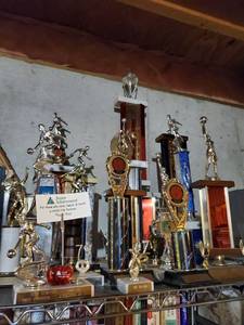 lot 6101 image: Lot of Tropheys