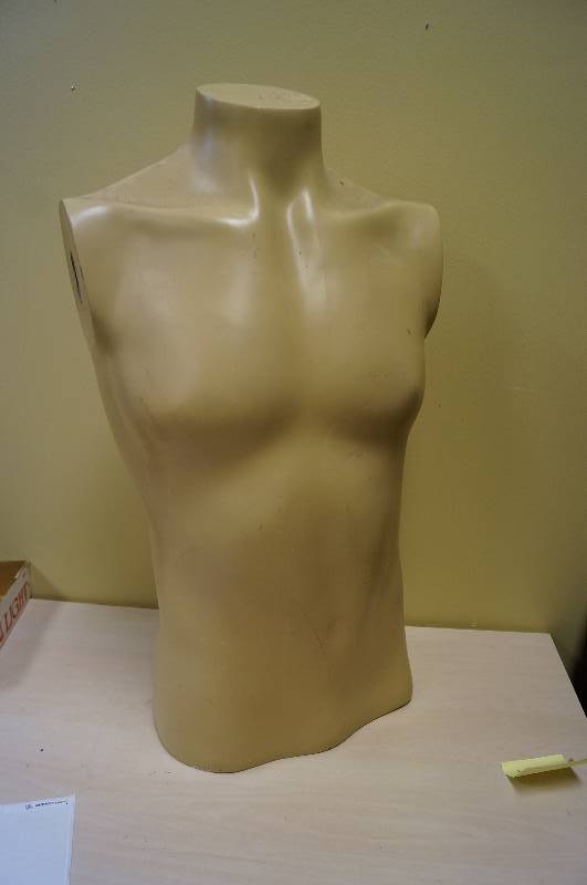 lot 1148 image: Torso bust, can be put on stand