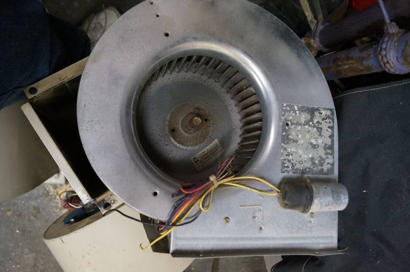 lot 5291 image: Squirrel Cage Blower w multi speed motor