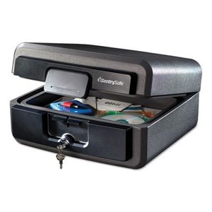 lot 75092 image: Sentrysafe Lg Waterproof Chest