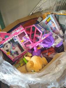 lot 90211 image: Toy Pallet (Untested Customer Returns)