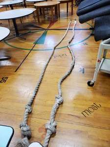 lot 159 image: Set of 2 15ft Gym Climbing Ropes
