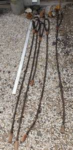lot 6014 image: Caldwell wire rope sling systems. 1 54 inch cablerope & 3 90 inch cableropes with 4 teacups