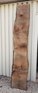 lot 3000 image: Black Walnut Wood Slab wLive Edge Rough Cut & Kiln Dried Over 8 FT