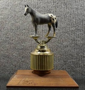 lot 2029 image: 1963 Wrangler Trophy  10 Tall  MISSING PLAQUE -WILL SHIP
