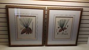 lot 1231 image: Pair of Framed Plant Study Sketches of Pine Species  24.5 x 28.5 in.