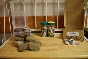 lot 2181 image: Box of Rocks, Stones, & Shells