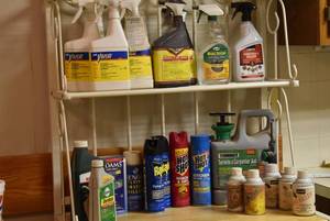 lot 2249 image: Lot of Bug Spray and Insecticides