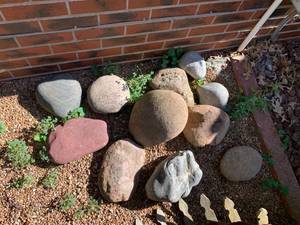 lot 2418 image: Lot of Large Garden Rocks - Mostly 8-12 Diameter (Backyard)
