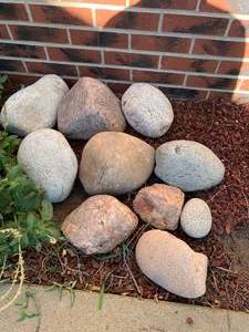 lot 2419 image: Lot of Large Garden Rocks - Mostly 8-12 Diameter (Front Yard)