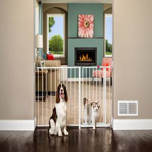lot 73733 image: Carlson Maxi Pet Gate