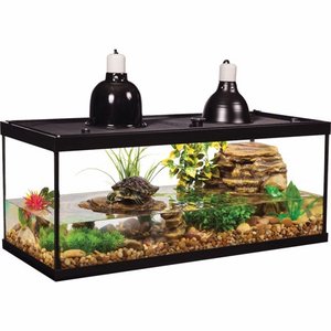lot 78484 image: TetraFauna 20-Gallon Deluxe Aquatic Turtle Tank Starter Kit