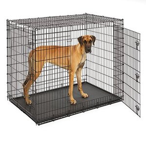 lot 73862 image: Midwest SL54DD Ginormus Double Door Dog Crate for XXL for the Largest Dogs Breeds, Great Dane, Mastiff, St. Bernard