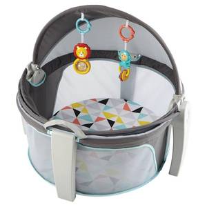 lot 73877 image: Fisher-Price On-the-Go Baby Dome
