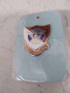 lot 6330 image: resurgens pin