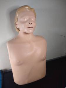 lot 3007 image: Laerdal Anne Face CPR Manikin UNSANITIZED With Carrying Case
