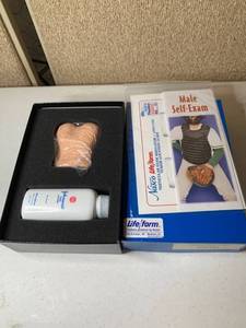 lot 3055 image: LifeForm Testicular Exam Simulator