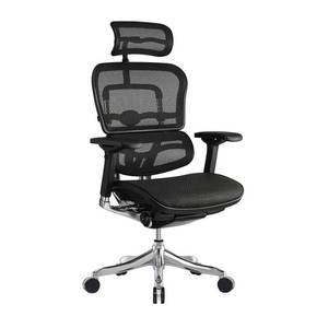 lot 9338 image: Eurotech Ergo Elite Mesh High-Back Executive Office Chair