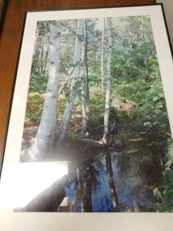lot 4034 image: Picture