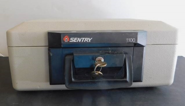 lot 1009 image: Sentry Fire Safe