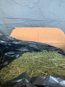 lot 3620 image: Standlee Premium Products 261037 25 lbs Premium Timothy Grass Forage