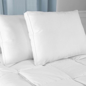 lot 3713 image: BioPEDIC Low Profile Flat Sleeping Pillows, 2-Pack