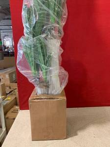 lot 3781 image: Fake House Plant