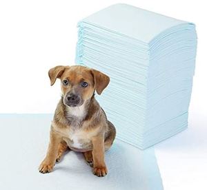 lot 1623 image: Amazon Basic Dog Toilet Training Pad Thick Oversized 50-sheet Set 71 X 86cm