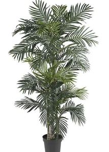 lot 1926 image: Silk 6.5 Foot Golden Cane Palm Tree