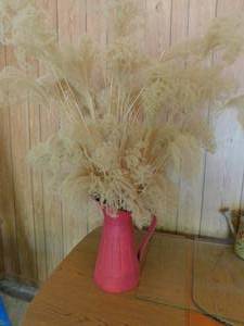 lot 8041 image: Dried Flowers in a Pitcher