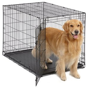 lot 1643 image: Midwest 1542 iCrate Single-Door Pet Crate 42-By-28-By-30-Inch