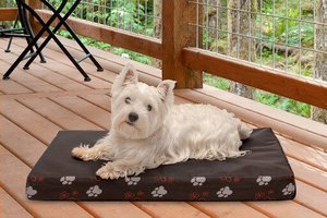 lot 6554 image: Furhaven Pet Dog Bed  Deluxe Cooling Gel Memory Foam Mat Foam Water-Resistant IndoorOutdoor Garden Print Traditional Foam Mattress Pet Bed w Removable Cover for Dogs & Cats, Iron Gate, Jumbo