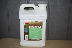 lot 263 image: 2.5 Gallon Martins Eraser AP Herbicide