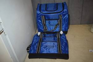 lot 384 image: 2 Soft Sided Cooler Bags 15 x 16 x 7
