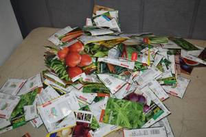 lot 429 image: 5 Pounds Garden Seet - over 200 Packages - Grab Bag