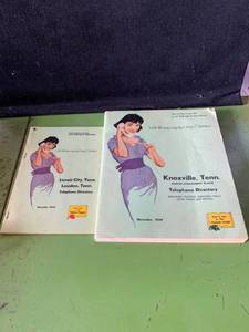 lot 6422 image: 1959 Tennessee Yellow Pages Telephone Directories