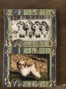 lot 9598 image: two dog picture frames