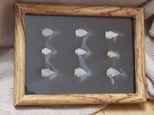 lot 7081 image: 9 Bird Point arrowheads in 5 x 7 frame