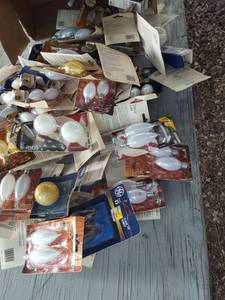 lot 6287 image: Assorted light bulbs