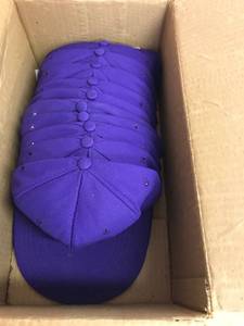 lot 6370 image: 10 purple ballcaps Large