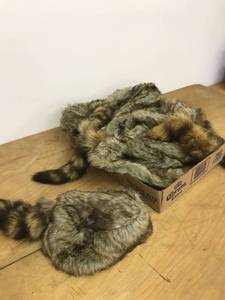lot 6381 image: approx 10 coon skin hats