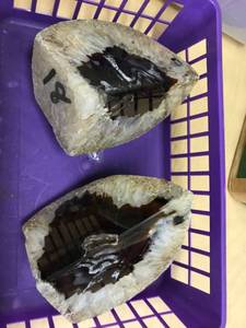 lot 6591 image: pair of polished geodes