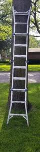 lot 4052 image: Werner folding ladder- 10 6