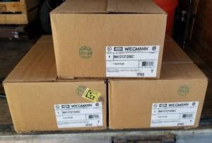 lot 4141 image: 3 N.I.B. Wiegmann 12x12x6 enclosers