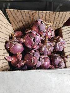 lot 3599 image: Lot of Purple Hanging Decorations