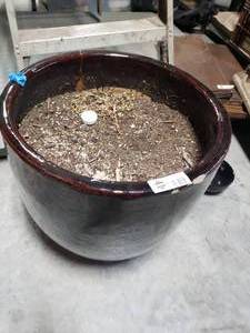 lot 3684 image: Large Red Planter-- Small Crack