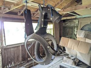 lot 1066 image: Horse Shaped Tire Swing
