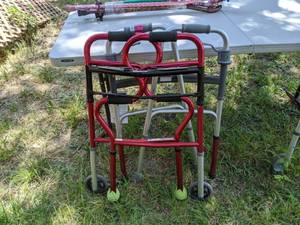lot 1077 image: Assorted Walkers